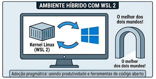 WSL_exemplo_20260414140613.png